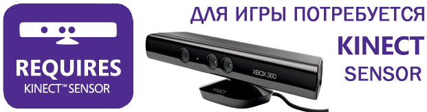 Microsoft Kinect Sensor 